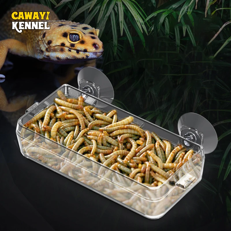 Pet Supplies Is Food - Cawayi Kennel Pet Reptile Transparent Feeder