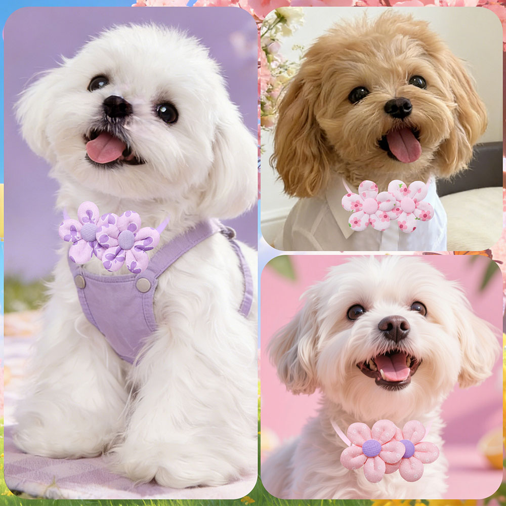 10PCS Flower Shape Sweet Dog B - Pet Supplies Hours recension och pris