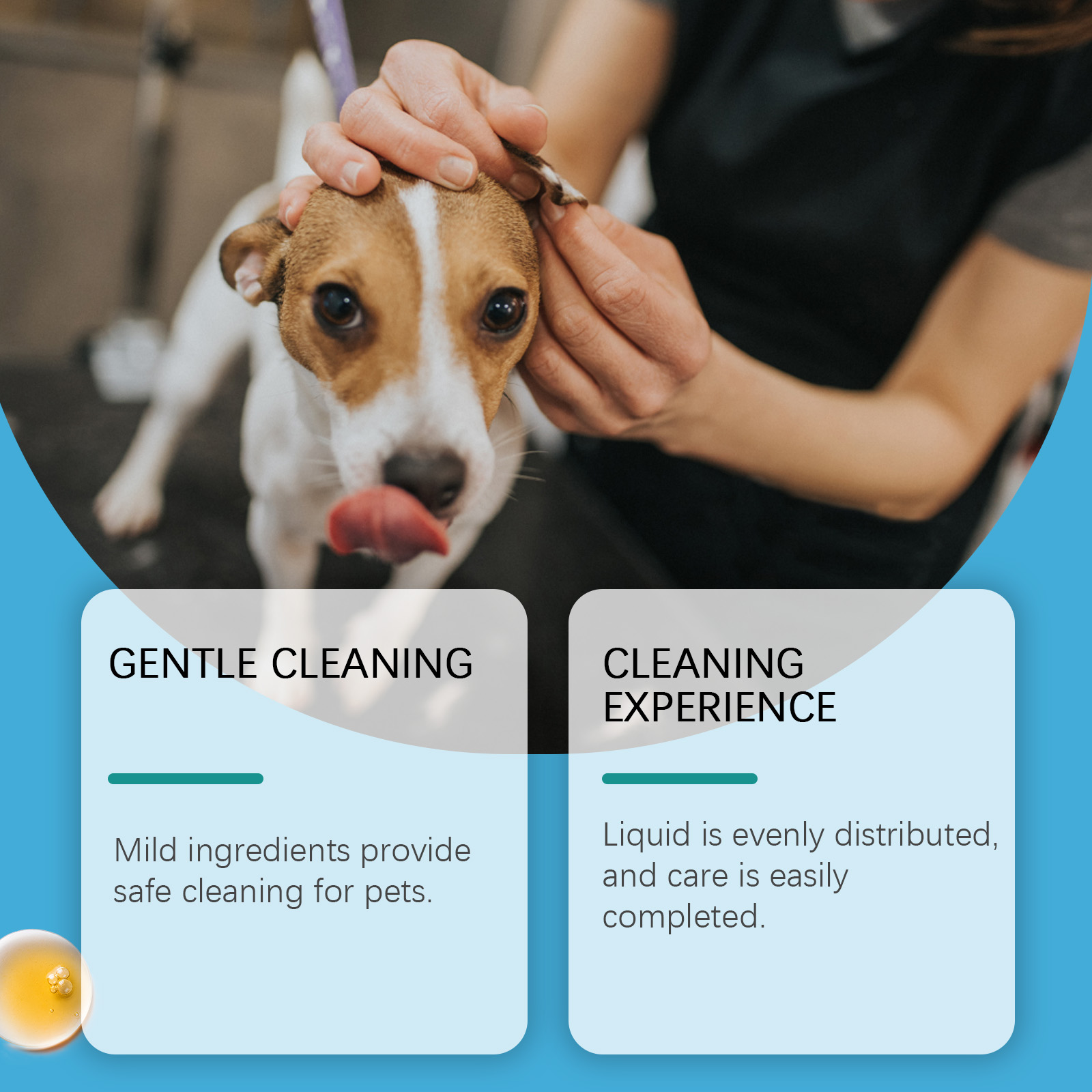 Pet Ear Cleaner For Dogs & Cat - Pet Ear Cleaner recension och pris