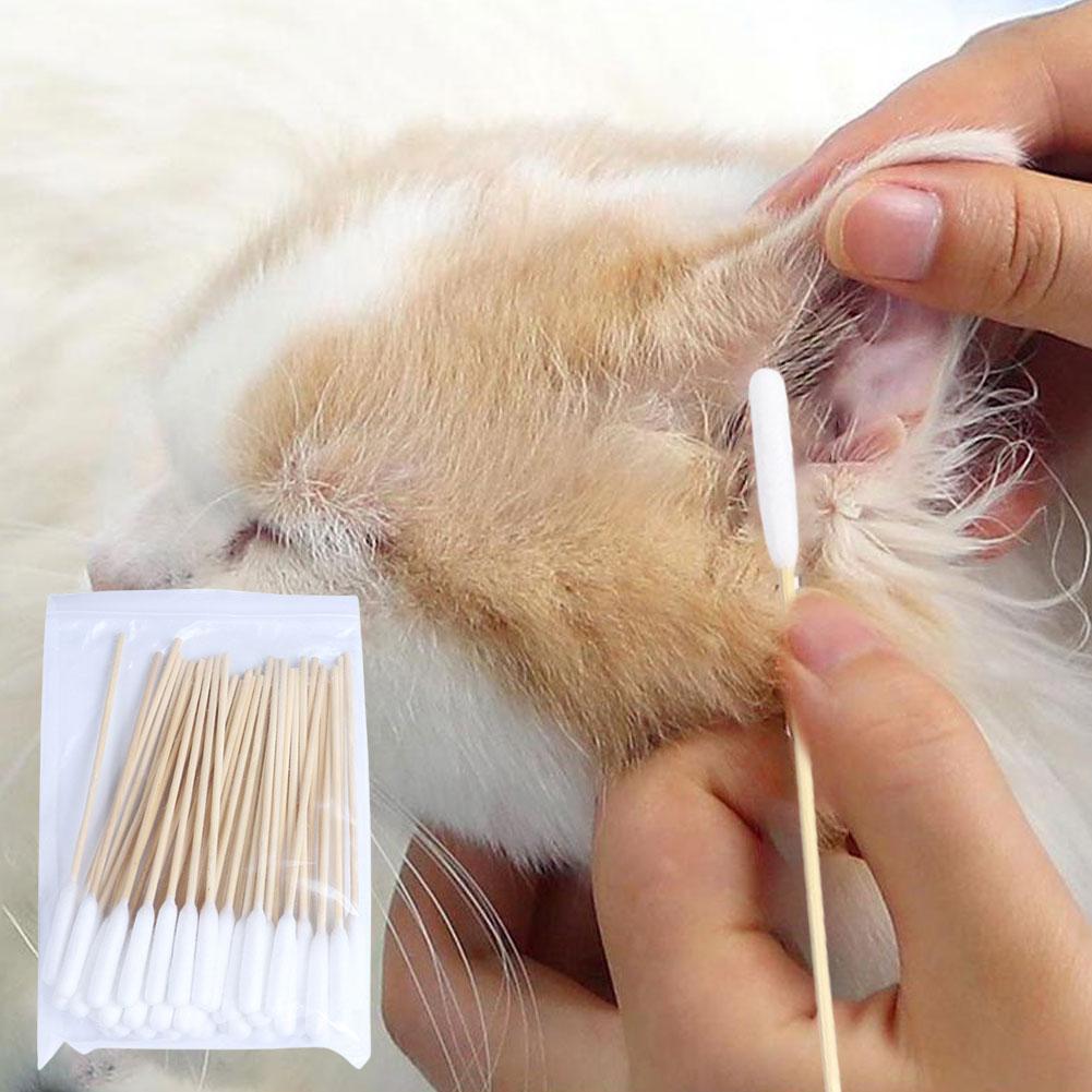 50/100 PCS Cotton Sticks Dog E - Pet Ear Cleaner recension och pris