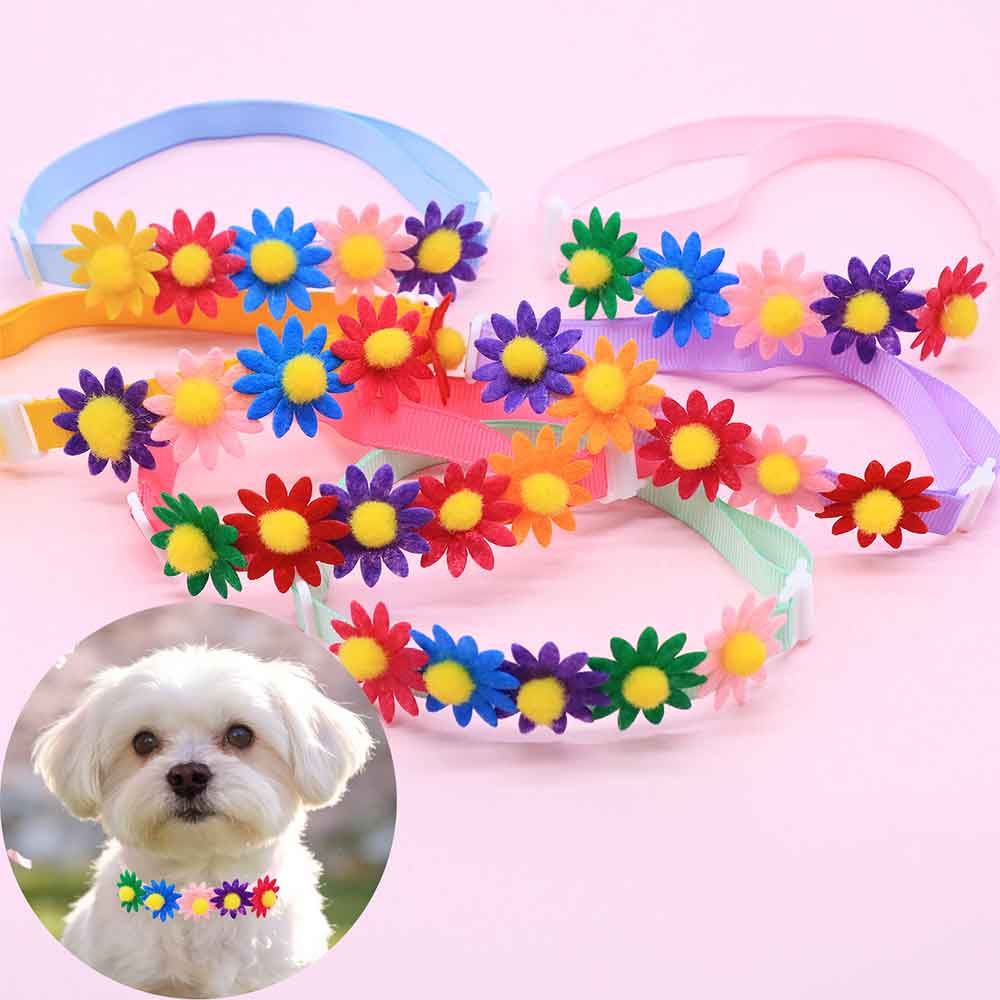 50PCS Colorful Dog Bowties Flo - Pet Supplies Hours recension och pris