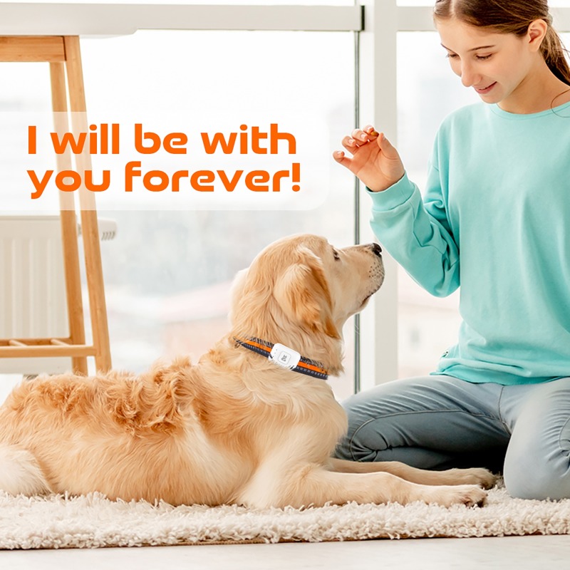 Pet GPS AGPS Tracking Device 4 - Pet Supplies Direct recension och pris