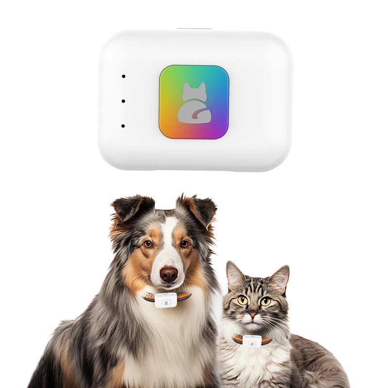 Pet GPS AGPS Tracking Device 4 - Pet Supplies Direct recension och pris