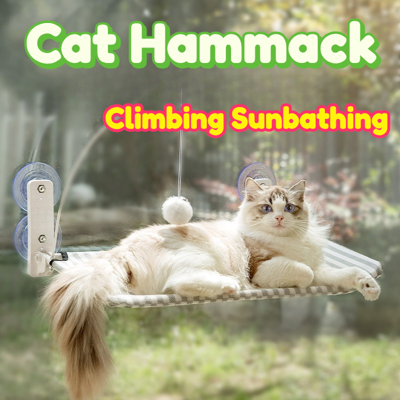 Cat Hammock Window Hanging Per - Cat Window Perch recension och pris