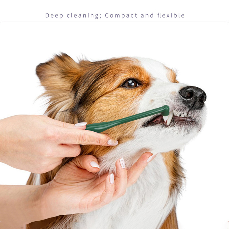 Micro Head Dog Cat Toothbrush  - Pet Supplies Hours recension och pris