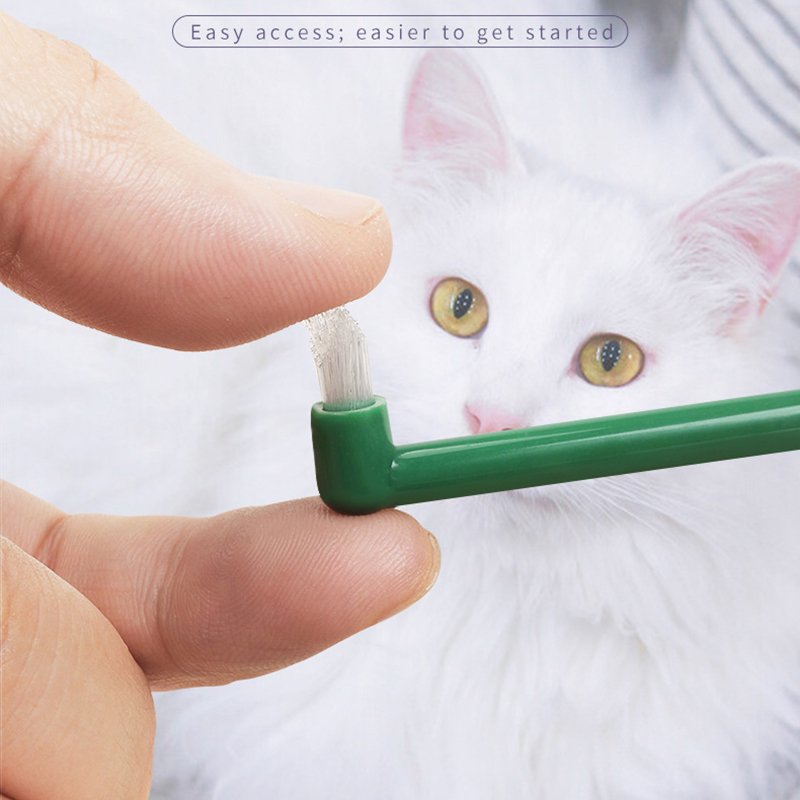 Micro Head Dog Cat Toothbrush  - Pet Supplies Hours recension och pris