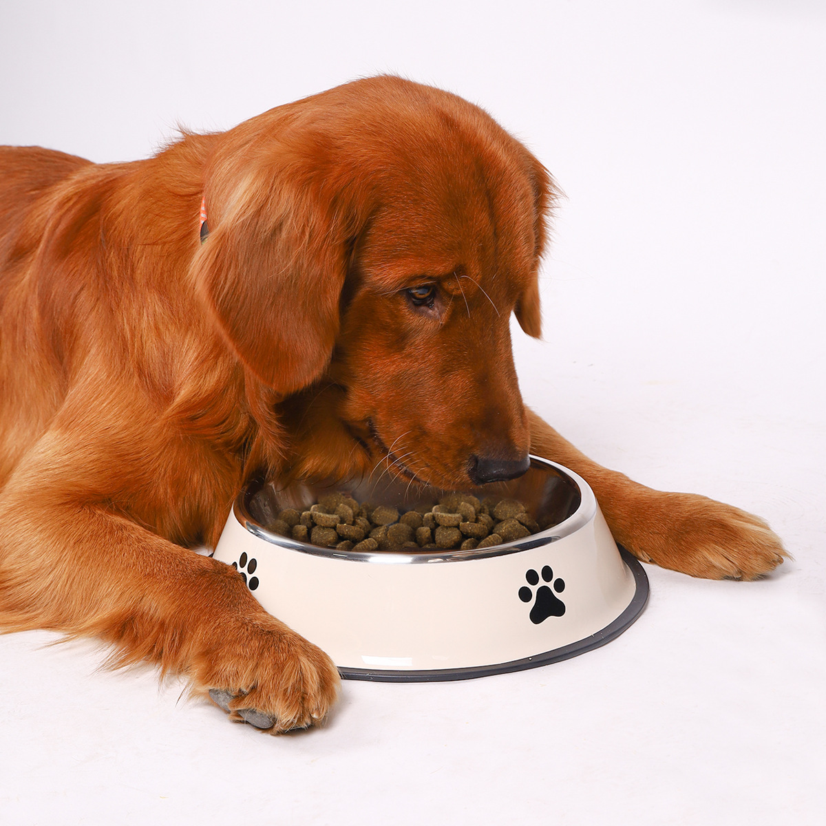Stainless Steel Large Capacity - Pet Supplies Hours recension och pris