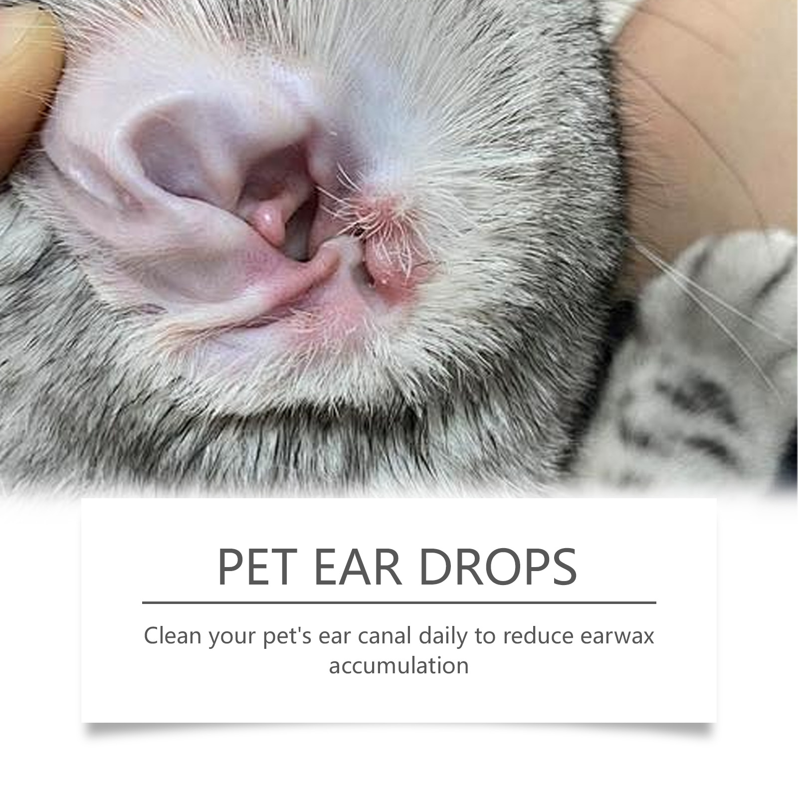 Pet Ear Cleaner Remove Ear Mit - Pet Ear Cleaner recension och pris