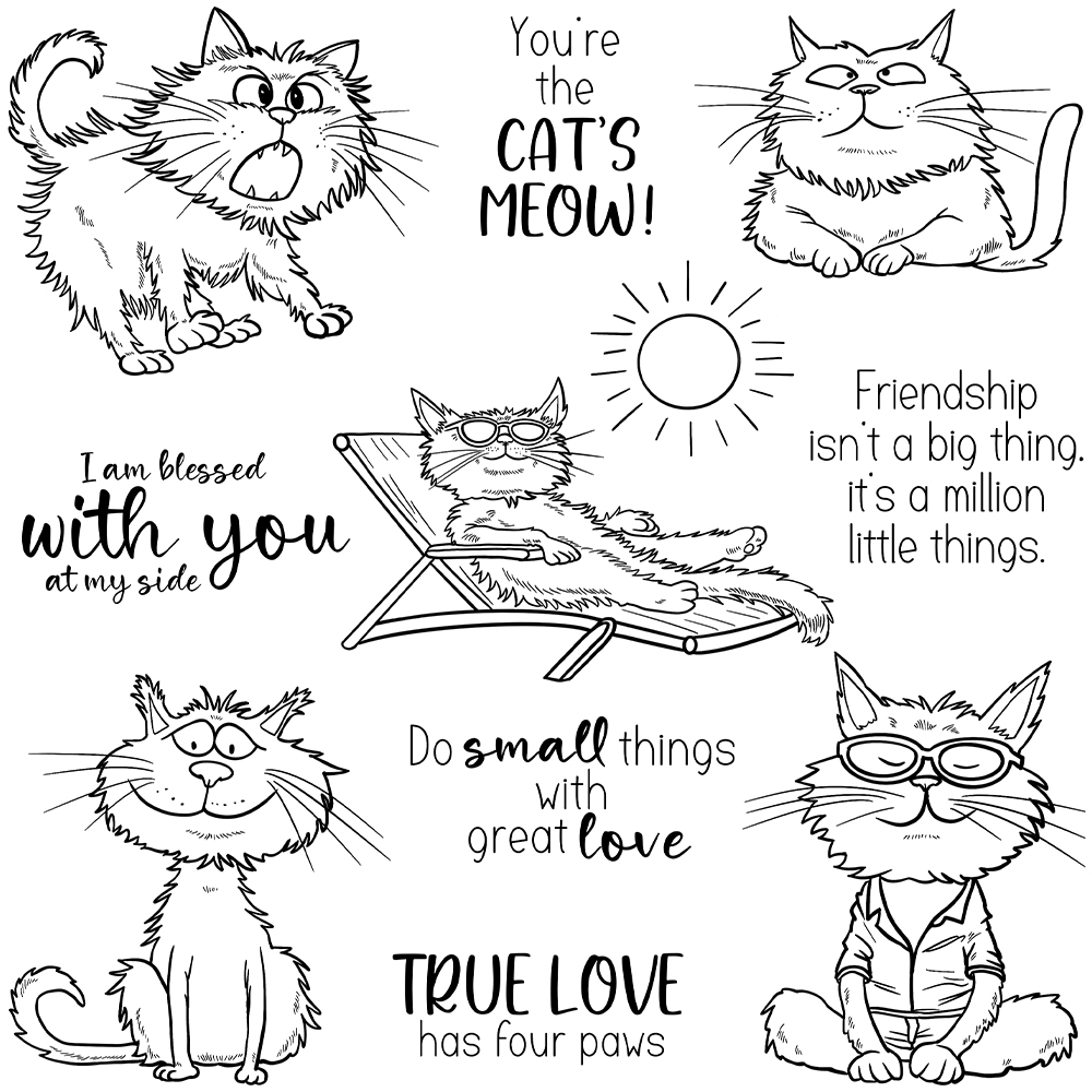 Mangocraft Funny Pet Cats Holi - Pet Supplies Is Food recension och pris