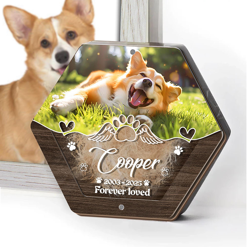 Personalized Name Wooden Carvi - Pet Supplies Direct recension och pris