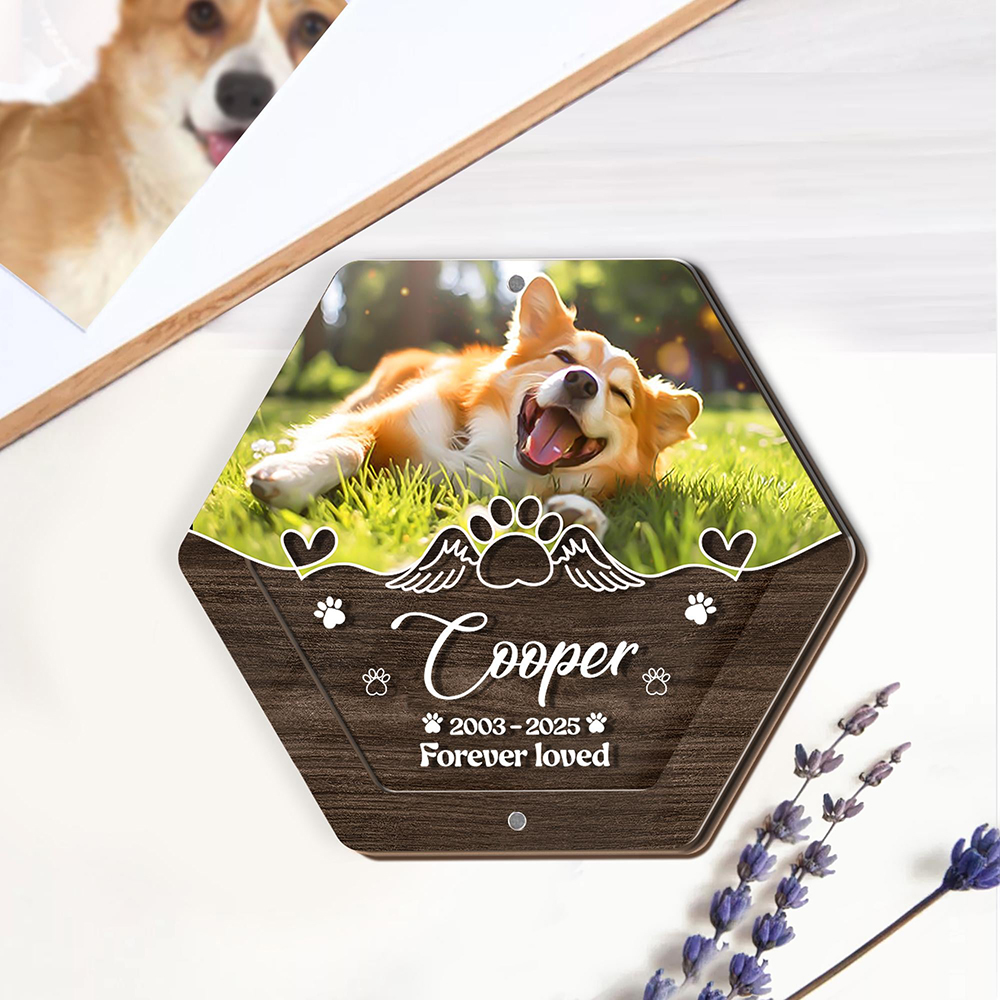 Personalized Name Wooden Carvi - Pet Supplies Direct recension och pris