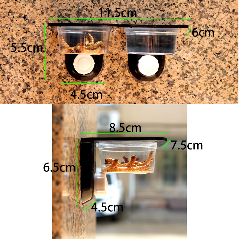 Reptile Tank Accessories Insec - Pet Supplies Is Food recension och pris