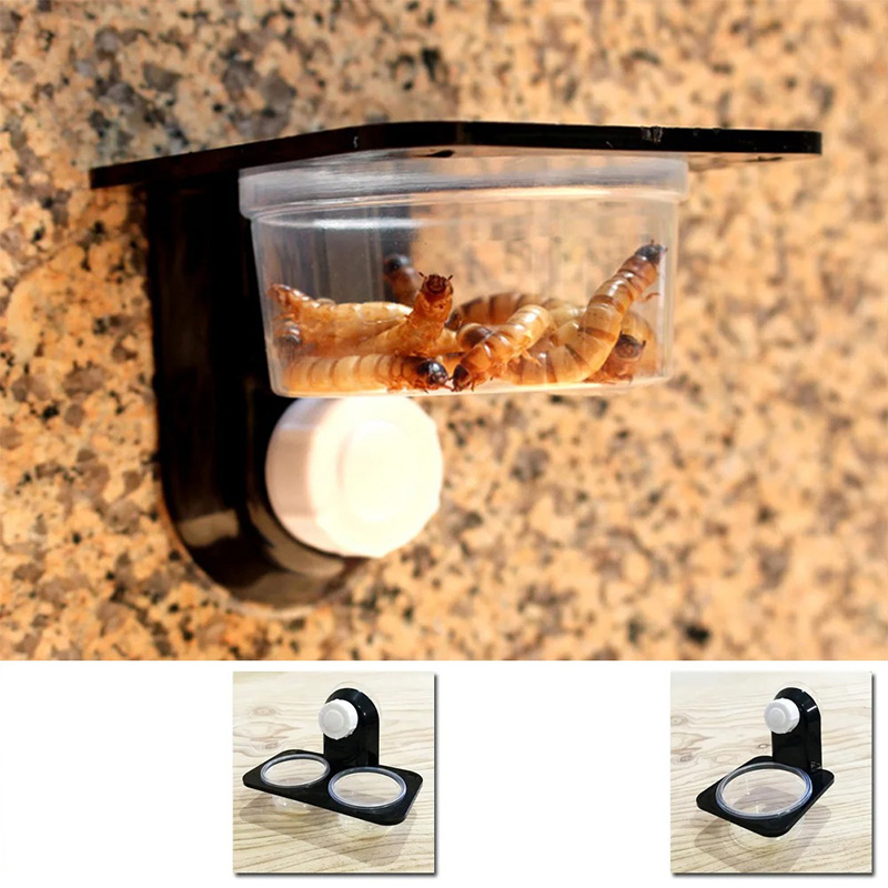 Reptile Tank Accessories Insec - Pet Supplies Is Food recension och pris