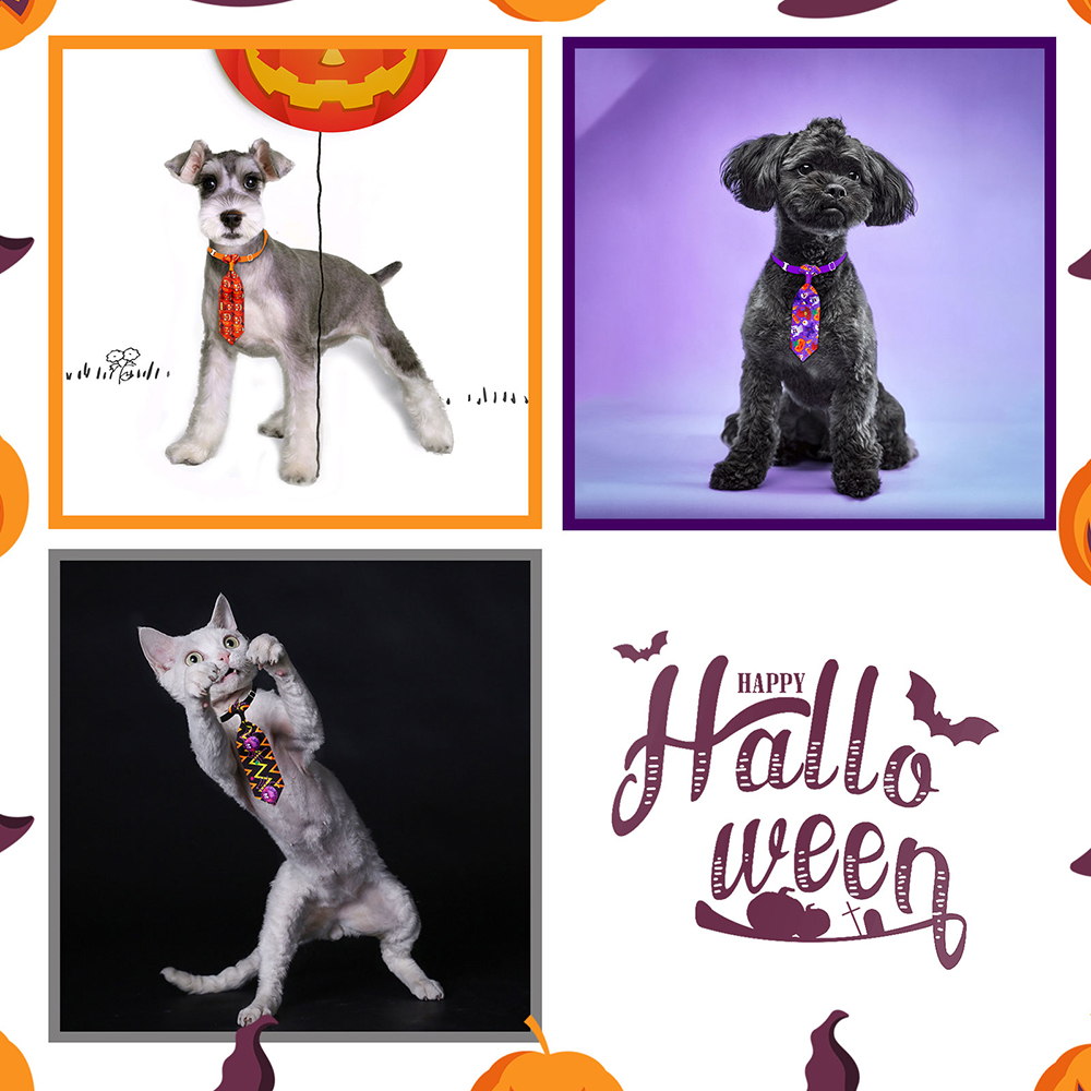 50/100pcs Halloween Dog Groomi - Pet Supplies Hours recension och pris
