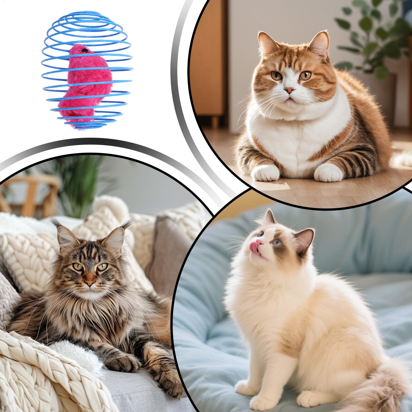 Cat Spiral Toy Interactive Fun - Cat Tunnel Toy recension och pris