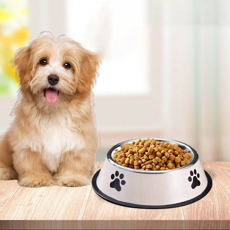 Stainless Steel Pet Bowl Cat B - Pet Supplies Hours recension och pris