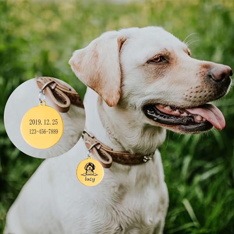 Custom Pet Name Puppy Anti-los - Pet Supplies Direct recension och pris