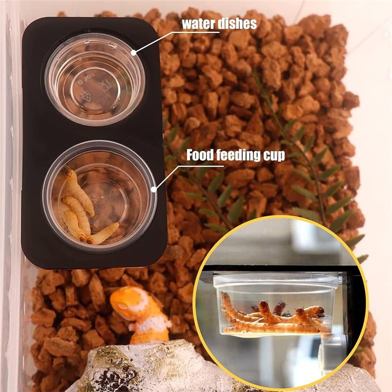 Crested Gecko Food And Water F - Pet Supplies Is Food recension och pris