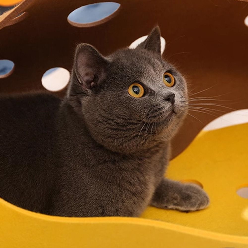 Durable Foldable Cat Tunnels B - Cat Tunnel Toy recension och pris