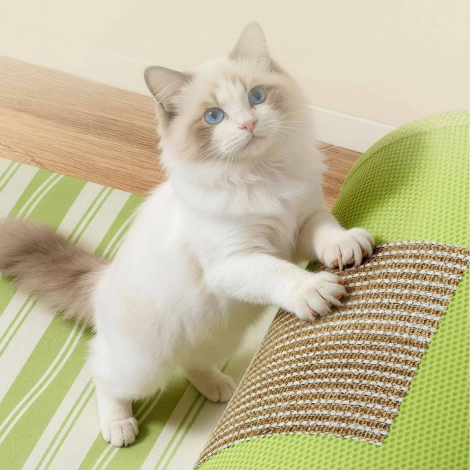Feline Scratcher Tunnel Dangli - Cat Tunnel Toy recension och pris